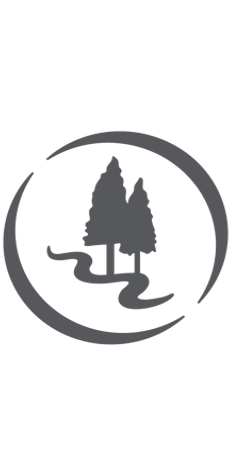 Forest Pines